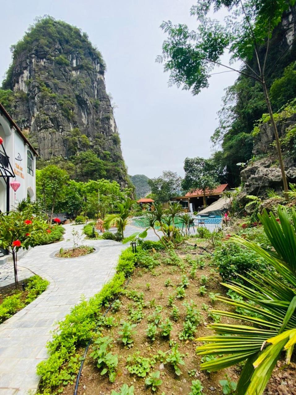 Tam Coc Galaxy Villa Ніньбінь Екстер'єр фото